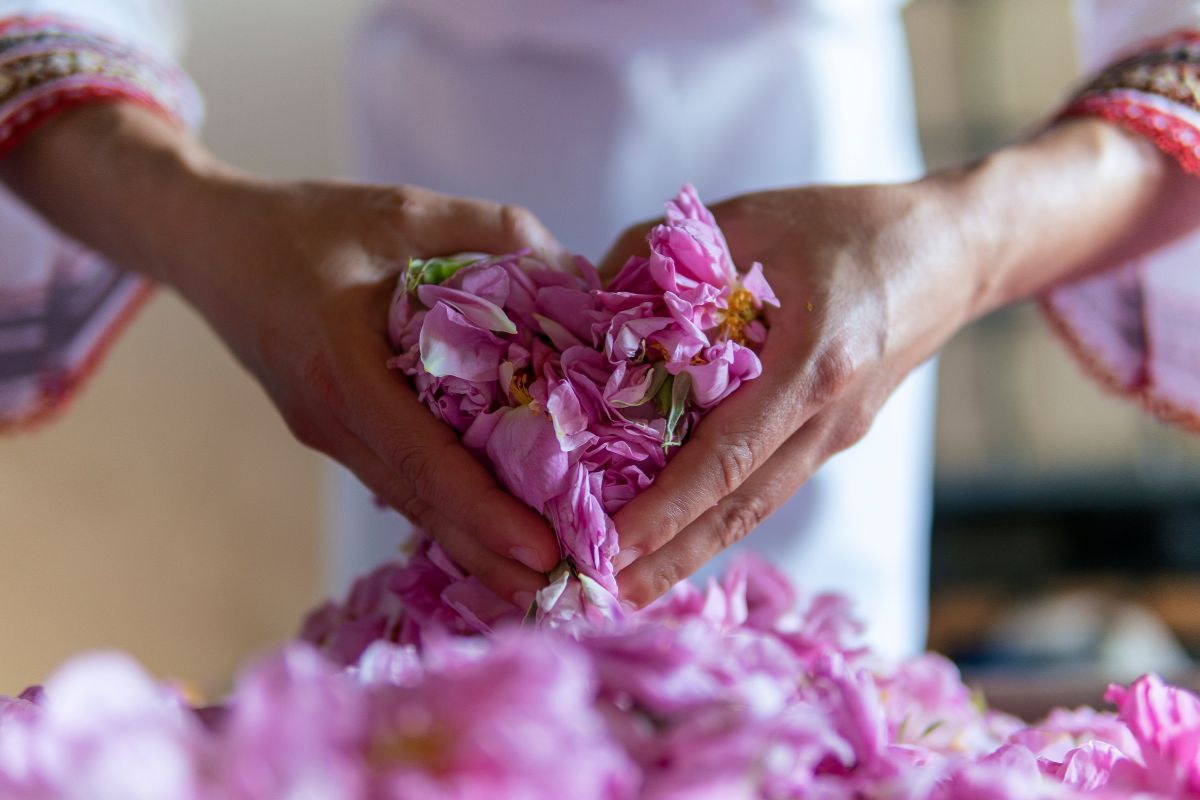 Rosa Damascena Profumo Olio