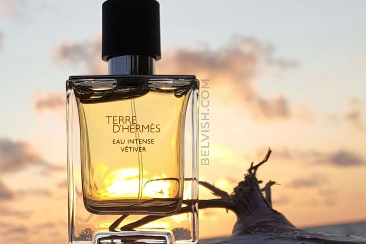 Terre d'Hermès Eau Intense Vétiver - note legnose