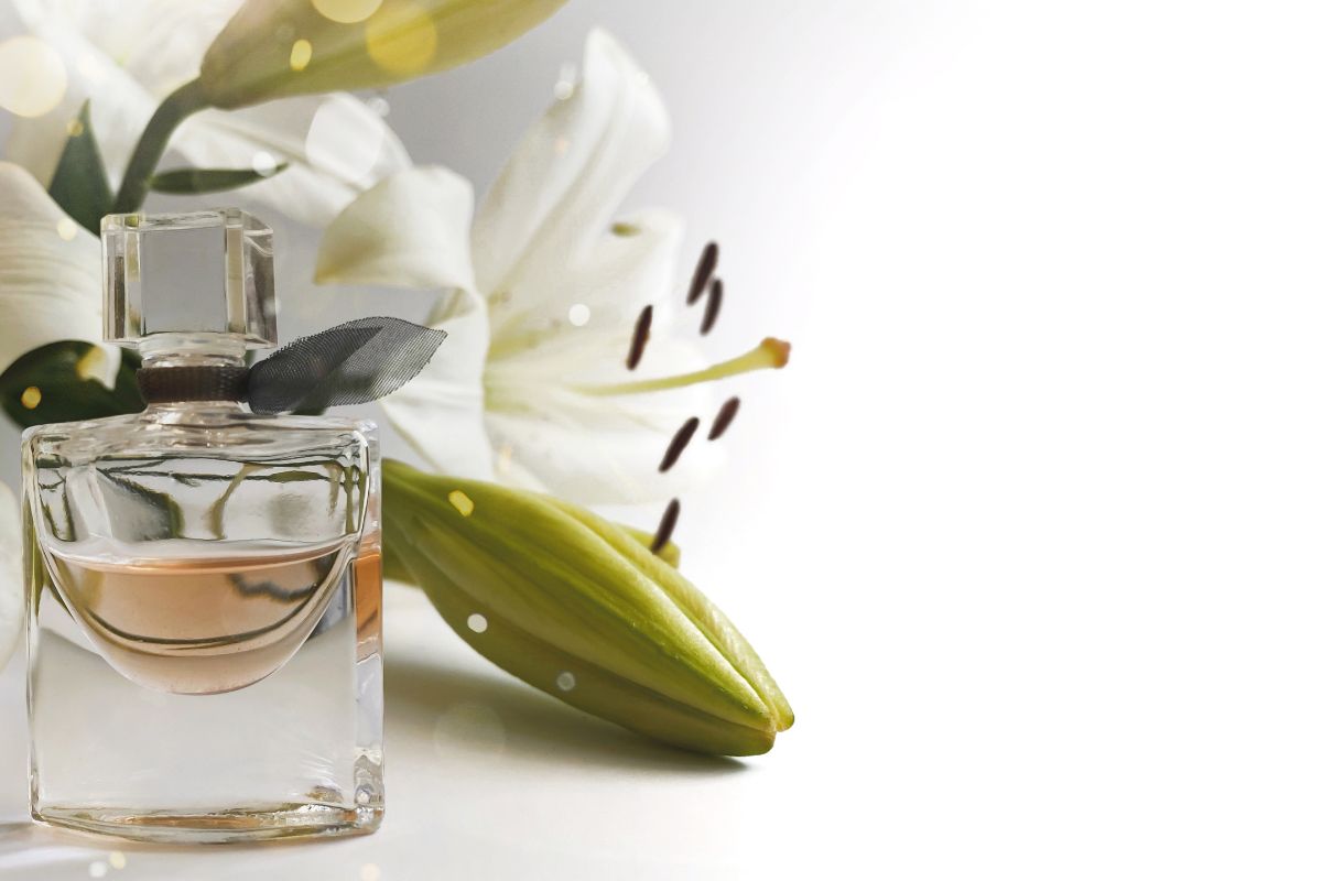 fiori bianchi profumo