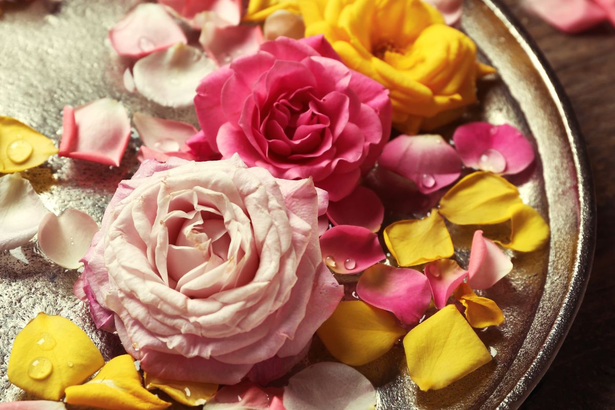 dove è nato il primo profumo acqua di rose
