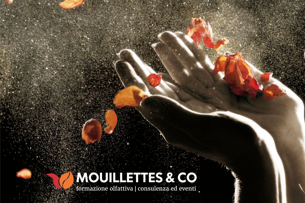 Mouillettes & Co Visual Logo 2024