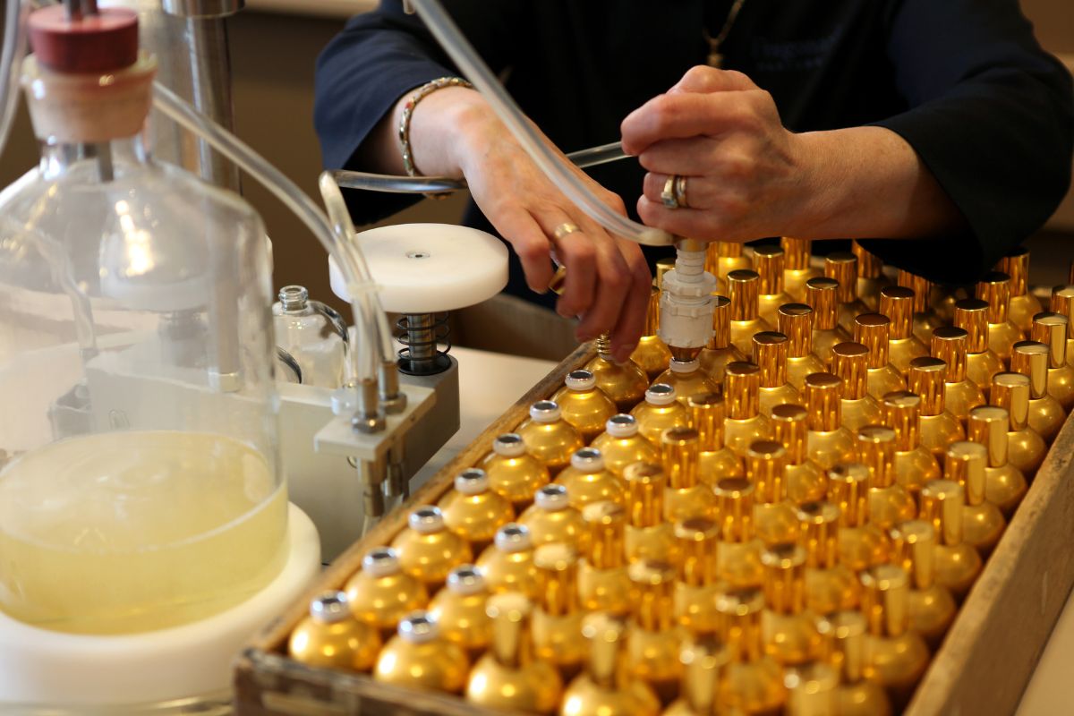 Naso Creatore Profumiere Studiare