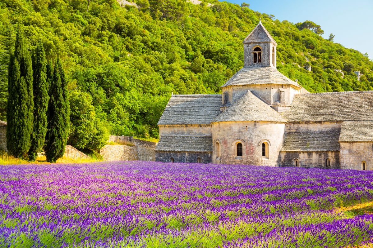 Fiori Francia