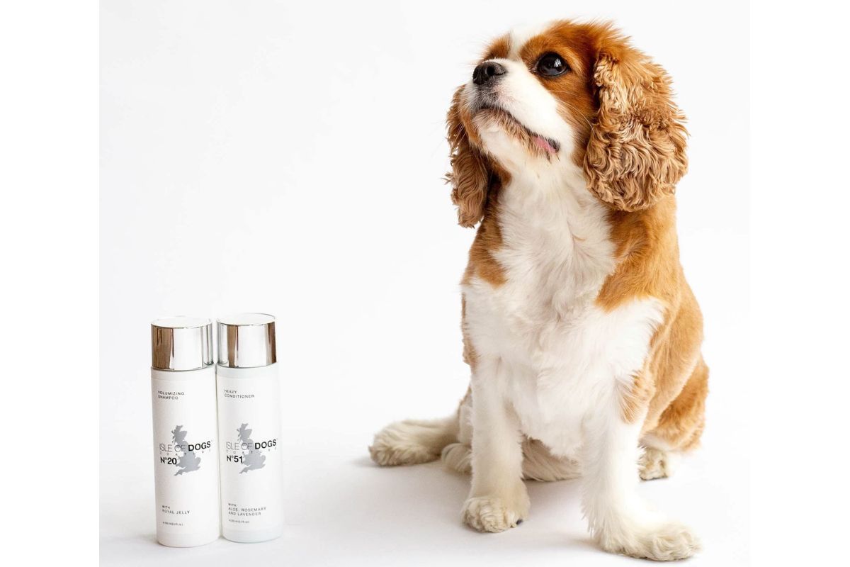 Profumi per cani isle of Dogs Coature No. 51 Heavy Management Conditioner